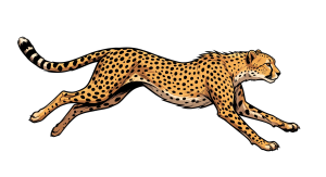 Laufender Gepard